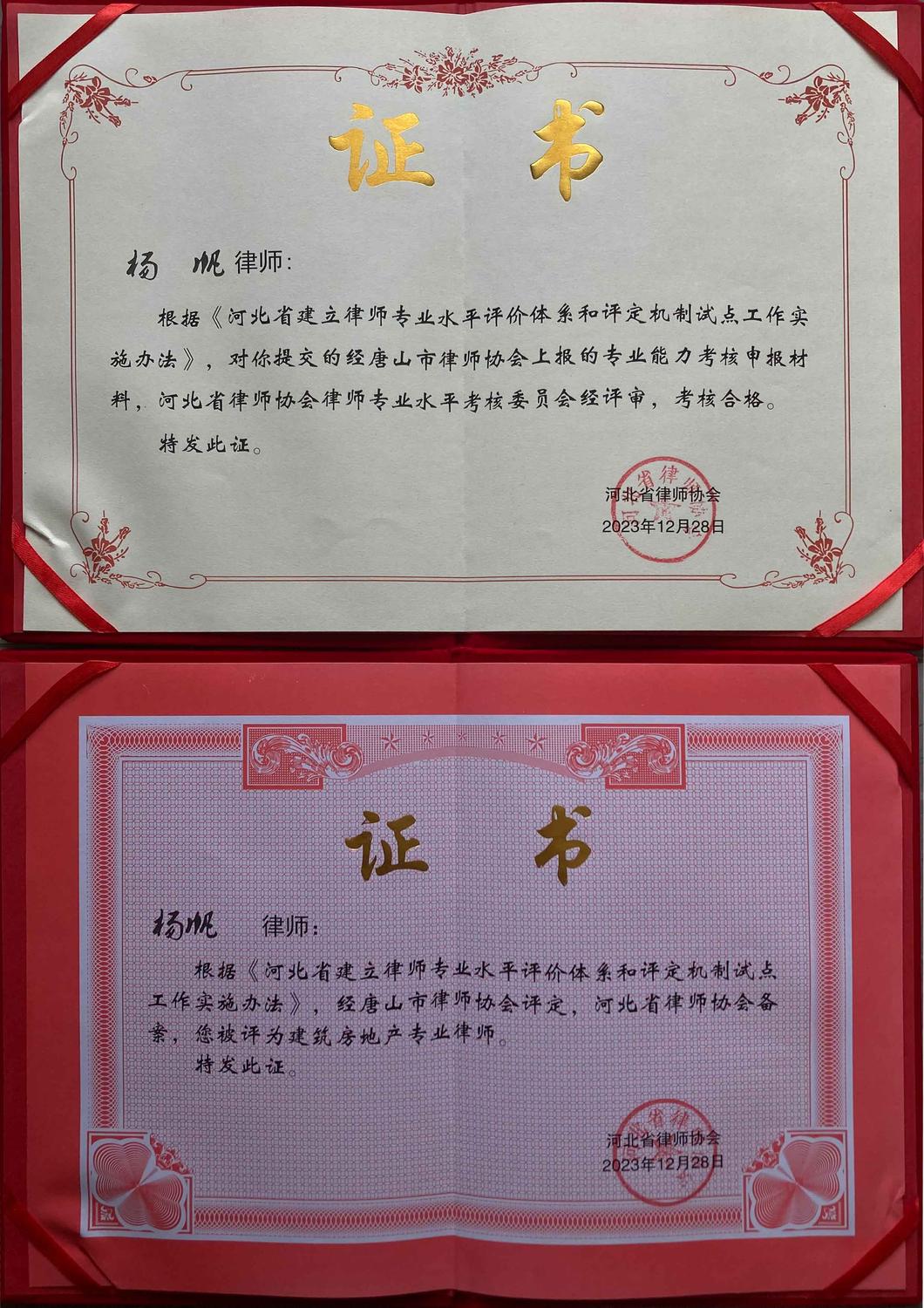 杨.jpg